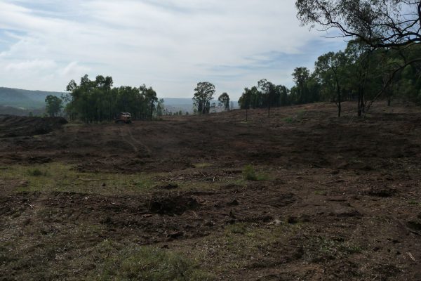 Ulan-Clearing-Paddock-(2)