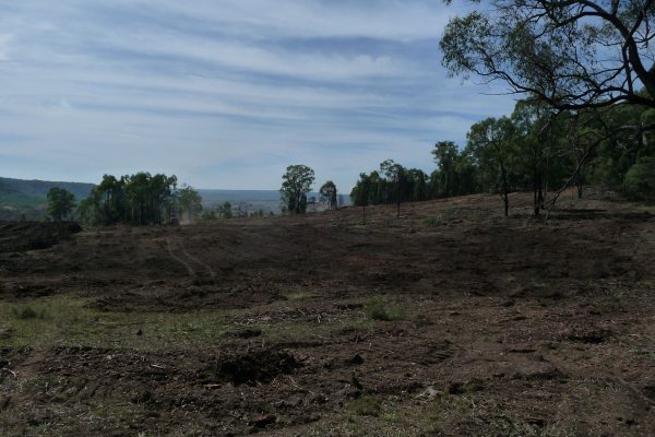 Ulan-Clearing-Paddock-(3)