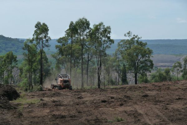 Ulan-Clearing-Paddock-(5)