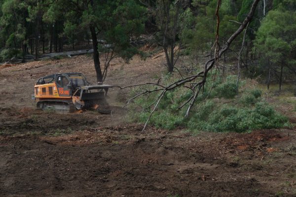 Ulan-Iron-Bark-2-(4)