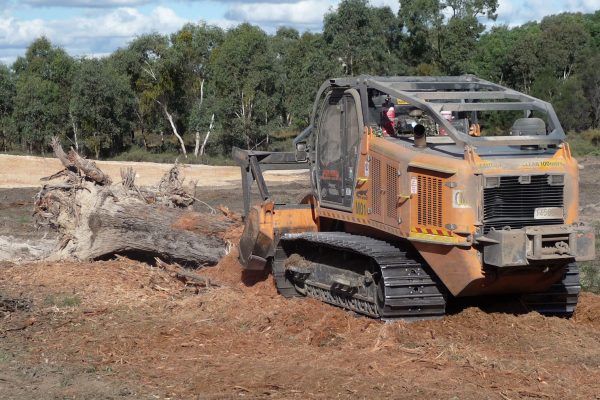 Ulan-Mulching-Large-Tree-(1)