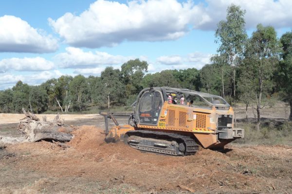 Ulan-Mulching-Large-Tree-(4)