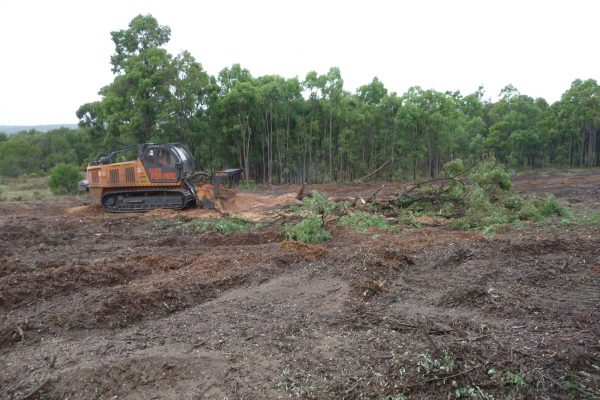 Ulan-Mulching-Tree-(13)