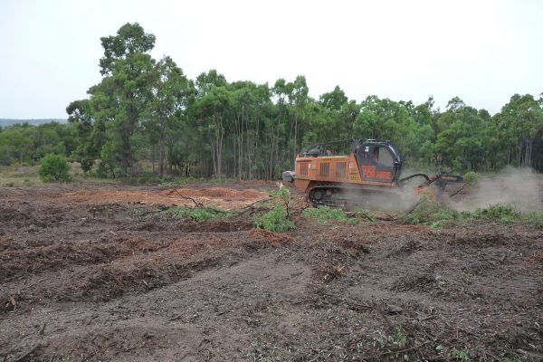 Ulan-Mulching-Tree-(17)