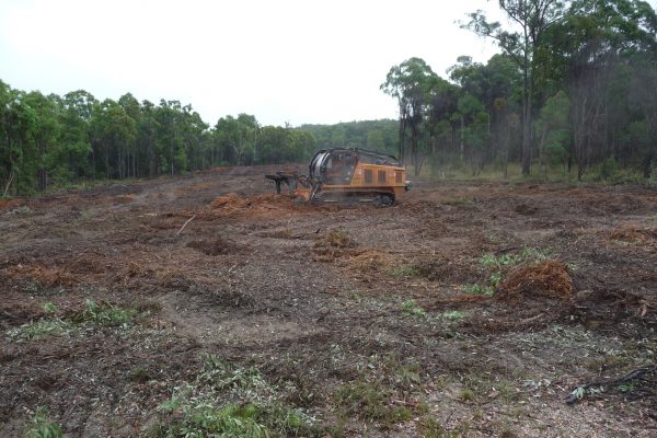 Ulan-Mulching-Tree-(21)