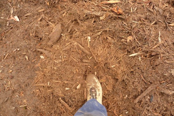 Ulan-Mulching-Tree-(23)