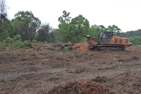 Ulan-Mulching-Tree-(4)