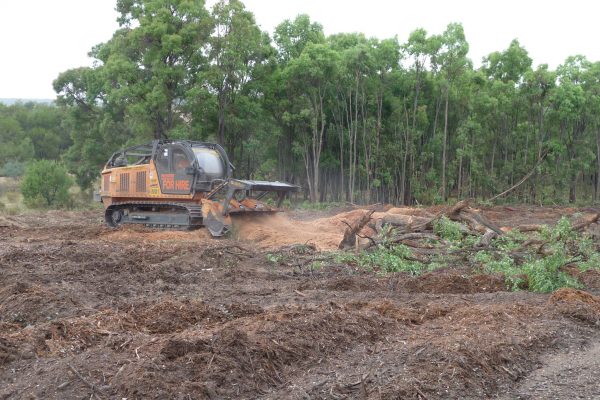 Ulan-Mulching-Tree-(5)