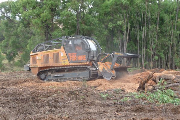 Ulan-Mulching-Tree-(6)